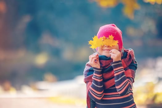 Happy child hiding his eyes behind the maple leaves. Beautiful view of the autumnal background.