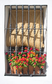 Nun Corner Square, Caceres, Extremadura, Spain. Window full of flowers and esparto blinds