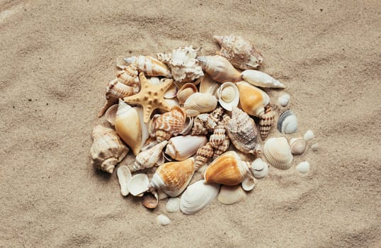 Various seashells are gathered in a pile. Natural materials on the sea beach. Top view.