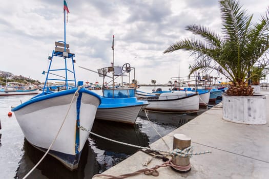 Summer landscape. Fishing boats are moored at the pier near the palm trees. Sea walks and relaxation concept. Sunny day by the sea.