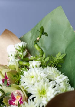 Close up of a bouquet of chrysanthemums decorated with an original green twig. Bouquet wrapped in kraft green paper. Blue background. Place for text.