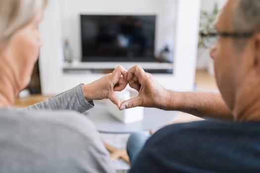 Happy romantic senior couple in love bonding at home