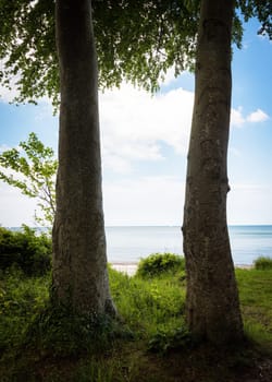 Path at the seashore, Baltic sea