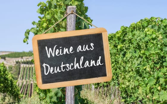 Blackboard in the vineyards - Wines from Germany in german - Weine aus Deutschland
