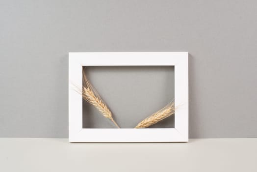 Wheat crop in a frame, copy space for text, food shortage crises and increased prices, golden straw