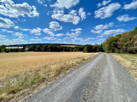 Landschaft