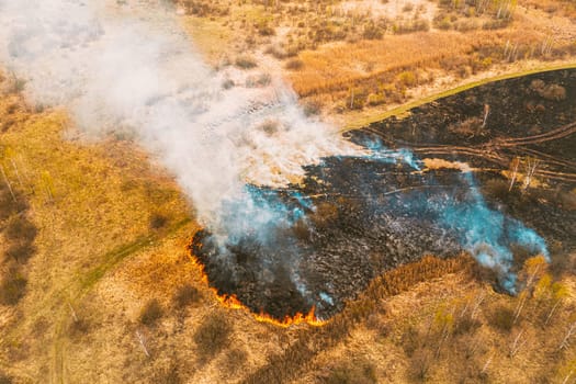 Aerial View. Spring Dry Grass Burns During Drought Hot Weather. Bush Fire And Smoke In Meadow Field. Wild Open Fire Destroys Grass. Nature In Danger. Ecological Problem Air Pollution. Natural Disaster
