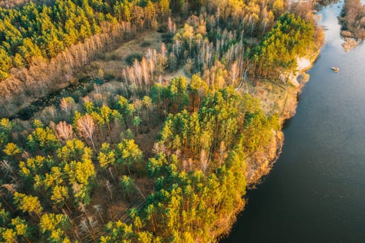 Aerial View Of Mixed Forest And River Landscape. Top View Of Beautiful European Nature From High Attitude In Early Spring Season. Drone View. Bird's Eye View.