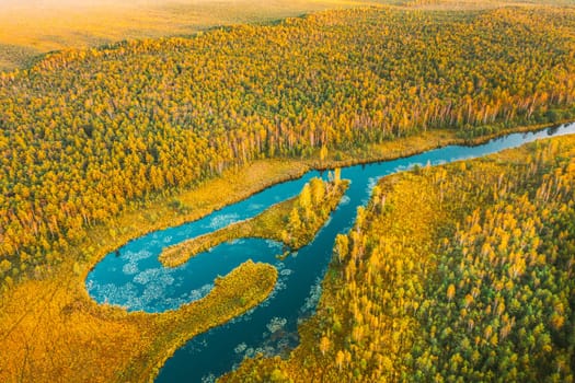 Domzheritsy, Vitebsk Region, Belarus. Buzyanka River. Aerial View Of Summer Curved River Landscape In Autumn Evening. Top View Of Beautiful European Nature From High Attitude In Summer Season.