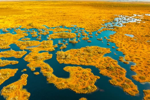 Miory District, Vitebsk Region, Belarus. The Yelnya Swamp. Upland And Transitional Bogs With Numerous Lakes. Elevated Aerial View Of Yelnya Nature Reserve Landscape. Famous Natural Landmark.
