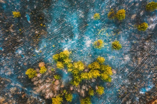 Aerial View. Spring Dry Grass Burns During Drought Hot Weather. Bush Fire And Smoke In Deforestation Zone. Wild Open Fire Destroys Grass. Nature In Danger. Ecological Problem Air Pollution.