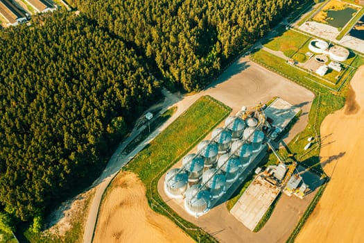 Aerial View Modern Granary, Grain-drying Complex, Commercial Grain Or Seed Silos In Sunny Spring Rural Landscape. Corn Dryer Silos, Inland Grain Terminal, Grain Elevators Standing In A Field.