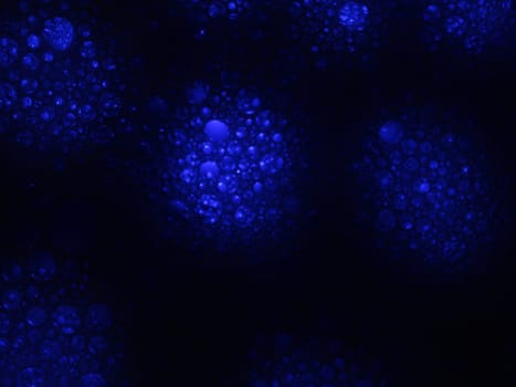 abstract look different colors strange background horror virus