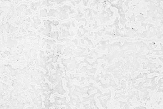 Grunge white background Cement old texture wall