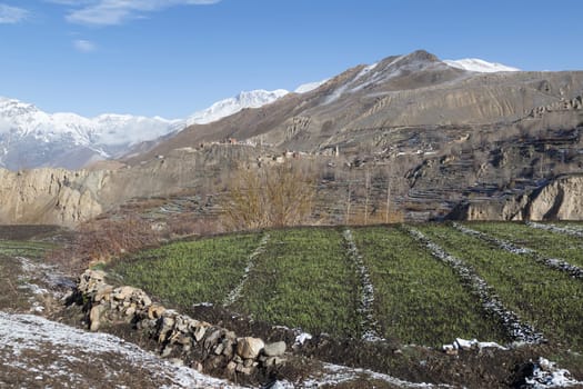 Landscape of Muktinath village in lower Mustang District, Nepal. This photo was shot in early morning..Area was cover by snow.