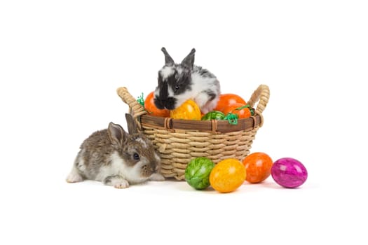 Bunnies/Easter Bunnies