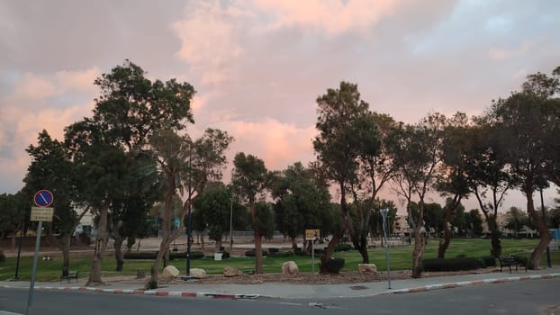 sunset in green summer park, open air orange clouds, trees nature sky landscape. High quality photo
