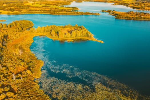 Braslaw District, Vitebsk Voblast, Belarus. Aerial View Of Ikazn Lake, Green Forest Landscape. Top View Of Beautiful European Nature From High Attitude. Bird's Eye View. Famous Lakes.