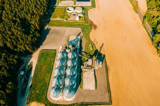 Aerial View Modern Granary, Grain-drying Complex, Commercial Grain Or Seed Silos In Sunny Spring Rural Landscape. Corn Dryer Silos, Inland Grain Terminal, Grain Elevators Standing In A Field.