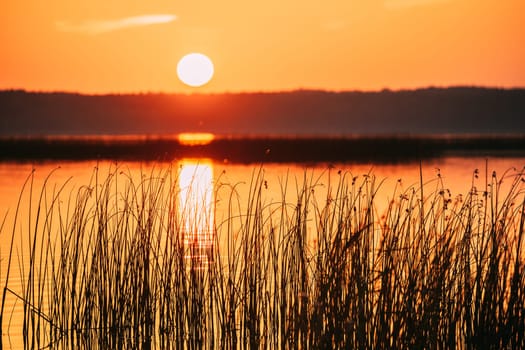 Sundown Above Lake River Horizon At Sunset. Natural Sky In Warm Colors Water. Sun Waters.