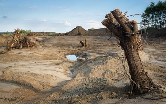 Dry River Bed