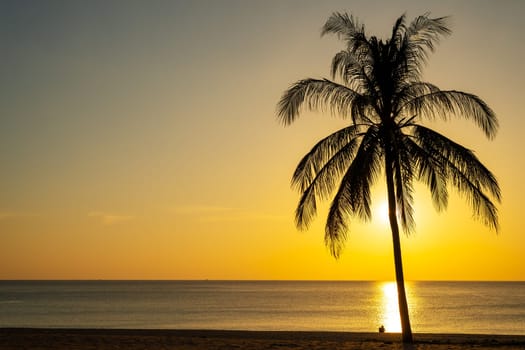 Beach sand sunset or sunrise with coconut palm tree and colorful of cloud sky and sunlight in twilight