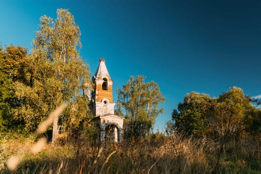 Martinovo, Beshenkovichsky District, Vitebsk Region, Belarus. Old Ruins Of Church Of The Intercession Of The Most Holy Theotokos. Ruins Of Old Cultural And Architectural Monument.
