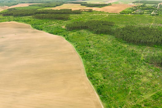 Aerial View Of Field And Deforestation Area Zone Landscape. Top View Of Field And Green Pine Forest Landscape. Large-scale Industrial Deforestation To Expand Agricultural Fields.