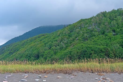 Cloudy, Green Hillsides Along the Coast in Cape Breton Highlands National Park in Nova Scotia