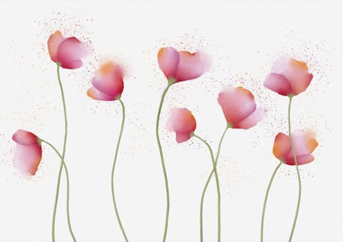 Poppies watercolor painting with splashes on white with watercolor texture