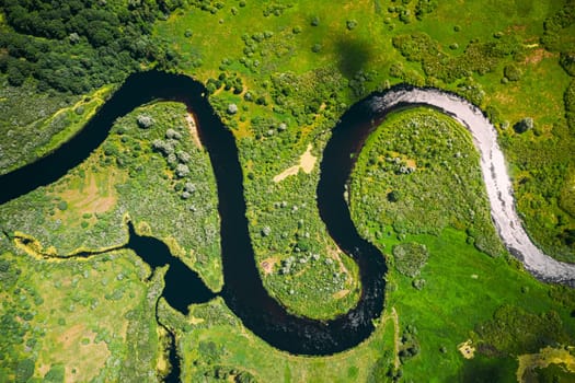 Aerial View Green Forest Woods And River Landscape In Sunny Spring Summer Day. Top View Of Beautiful European Nature From High Attitude In Autumn Season. Drone View. Bird's Eye View.