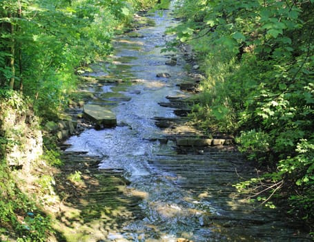 Forest brook running over mossy rocks