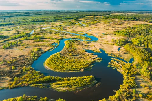 Aerial View Green Forest Woods And River Landscape In Sunny Spring Summer Day. Top View Of Beautiful European Nature From High Attitude In Autumn Season. Drone View. Bird's Eye View.