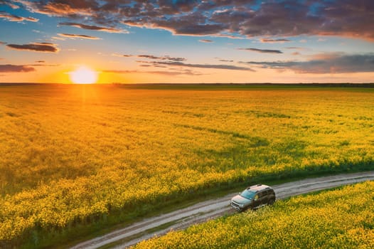 Aerial View. Sunshine At Sunrise Bright Dramatic Sky Above Agricultural Landscape With Flowering Blooming Oilseed Field. Spring Season. Blossom Canola Yellow Flowers. Beautiful Rural Country.