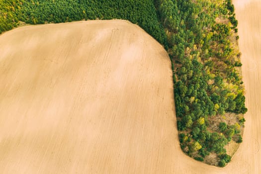 Aerial Top View Of Agricultural Landscape With Growing Forest Trees On Border With Field. Beautiful Rural Landscape In Bird's-eye View. Spring Field With Empty Soil.