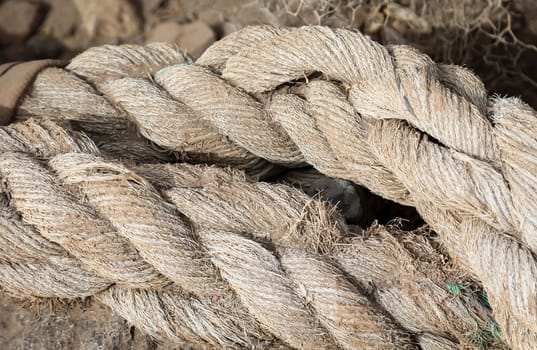 A carelessly discarded old rope from a cutter, ship.