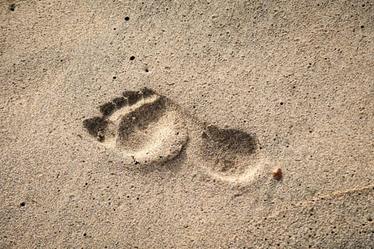 The footprint of a person in the wet sand on the beach.