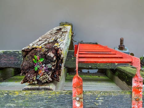 Top view of a red ladder next to a weathered wooden plank for mooring in the port of Carolinensiel with a direct view of the brackish water in the harbor basin.