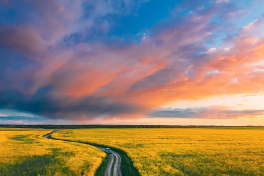 Aerial View Of Car SUV Parked Near Countryside Road In Spring Field Rural Landscape. Flowering Blooming Rapeseed, Oilseed In Field Meadow In Spring Season. Blossom Of Canola Yellow Flowers.