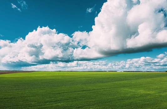 Countryside Rural Green Field Landscape With Young Wheat Sprouts In Spring Summer Cloudy Day. Agricultural Field. Young Wheat Shoots. Aerial View.
