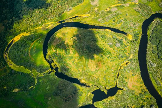 Aerial View Green Forest Woods And River Landscape In Sunny Spring Summer Day. Top View Of Beautiful European Nature From High Attitude In Autumn Season. Drone View. Bird's Eye View.