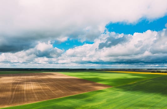 Countryside Rural Green Field Landscape With Young Wheat Field And Empty Ground In Spring Day. Agricultural Field. Aerial View.