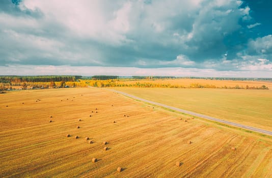 Aerial View Of Autumn Hay Rolls Straw Field Landscape. Haystacks, Hay Rolls. Harvest Season. Elevated View.