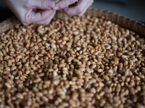 Close-up photo the texture of soy bean for HOW to Soy Product: Raw Homemade Tempeh . Concept of Healthy Vegetarian Food