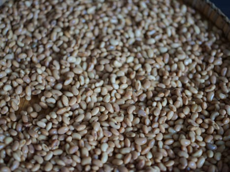 Close-up photo the texture of soy bean for HOW to Soy Product: Raw Homemade Tempeh . Concept of Healthy Vegetarian Food
