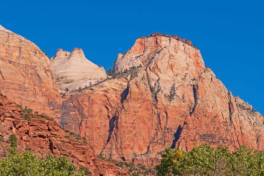 Sandstone Towers in the Desert in Zion National Park in Utah