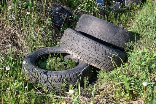 a bunch of old car tires are lying in the grass. High quality photo