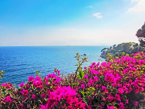 Italian Coast in Liguria