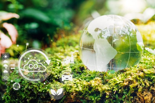 Eco green energy sources for renewable. Glass globe in the in nature forest with environment Icons, ecology and energy saving collaboration, Environment earth day