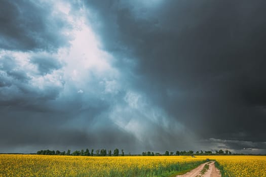 Dramatic Rain Sky With Rain Clouds On Horizon Above Rural Landscape Camola Colza Rapeseed Field. Country Road. Agricultural And Weather Forecast Concept.